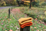 2 Orange and Gold High Visibility Blaze Orange Beanie Bundles stacked on a post on a hiking trail. Matching and Contrasting Fall Foliage during Hunting Season